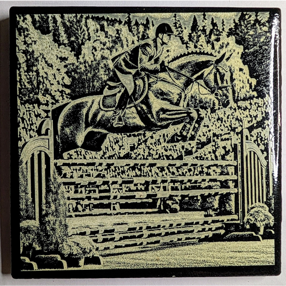 🏇 Equestrian Jumper Competition Coaster 🏆